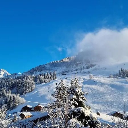 Le Samance 1 * Le Grand-Bornand