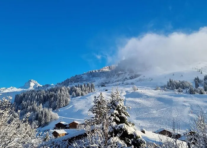 Le Samance 1 * Le Grand-Bornand
